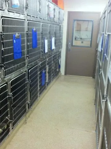 VCA Animal Care Center of Mt. Juliet 7