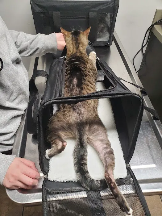 VCA Animal Care Center of Mt. Juliet 10