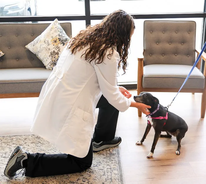 Green Hill Animal Hospital 3