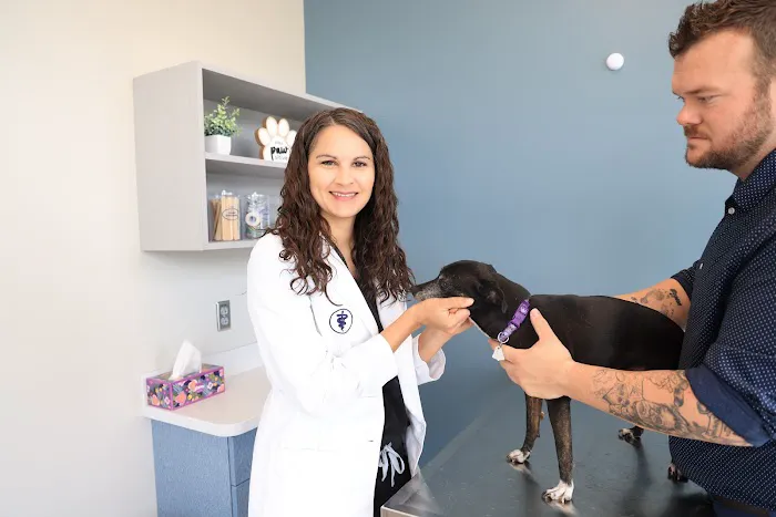 Green Hill Animal Hospital 7