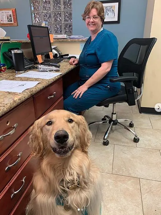 VetMed Animal Health 12