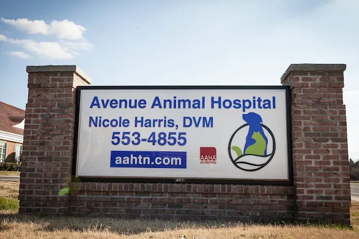 Avenue Animal Hospital 12
