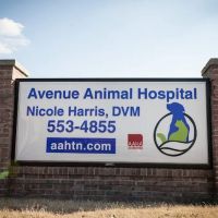 Avenue Animal Hospital ico