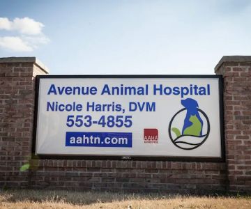 Avenue Animal Hospital