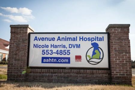 Avenue Animal Hospital