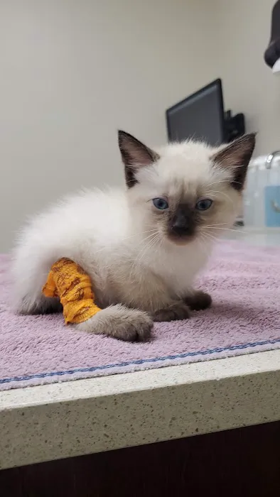Avenue Animal Hospital 12