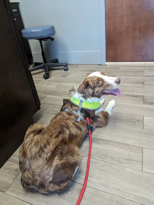 Avenue Animal Hospital 12
