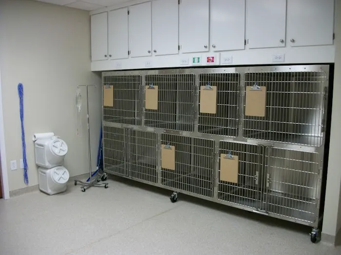 Avenue Animal Hospital 12