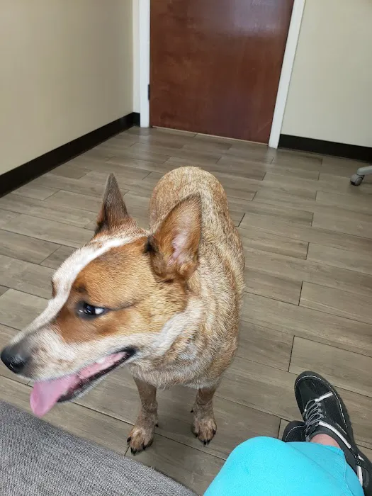 Avenue Animal Hospital 12