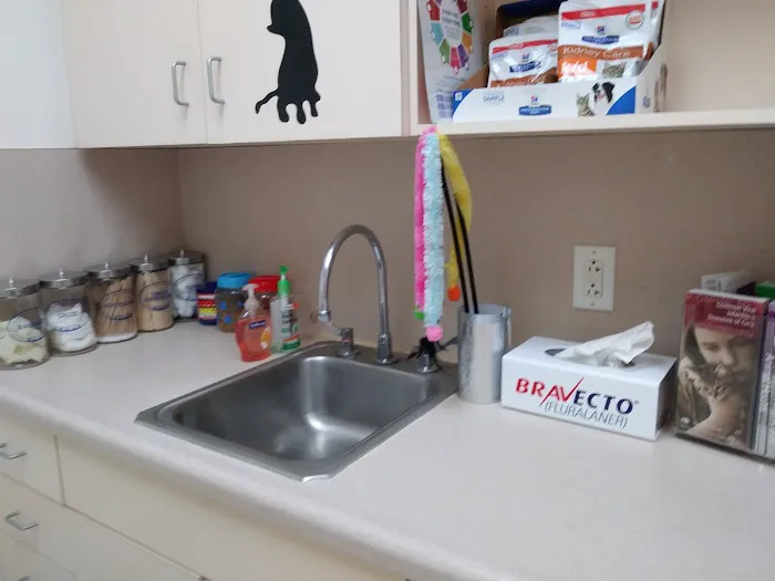 Texas Veterinary Hospital 9