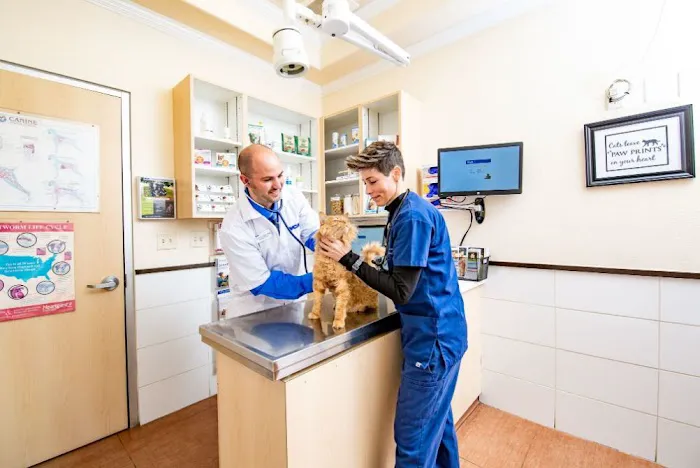 VCA Becker Animal Hospital and Pet Resort 12