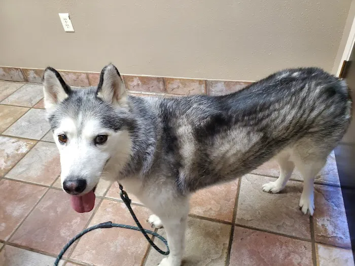 A Pet's Choice Veterinary Care, A Thrive Pet Healthcare Partner 6