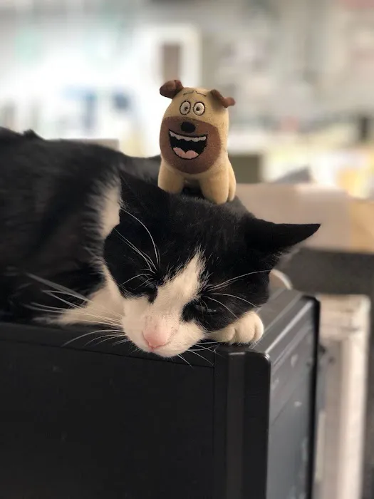 Animal Emergency Room 7
