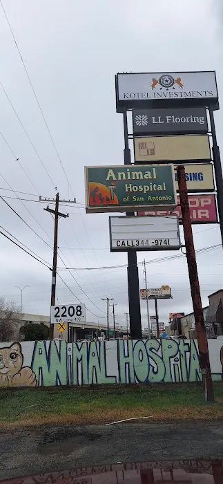 Animal Hospital of San Antonio 12