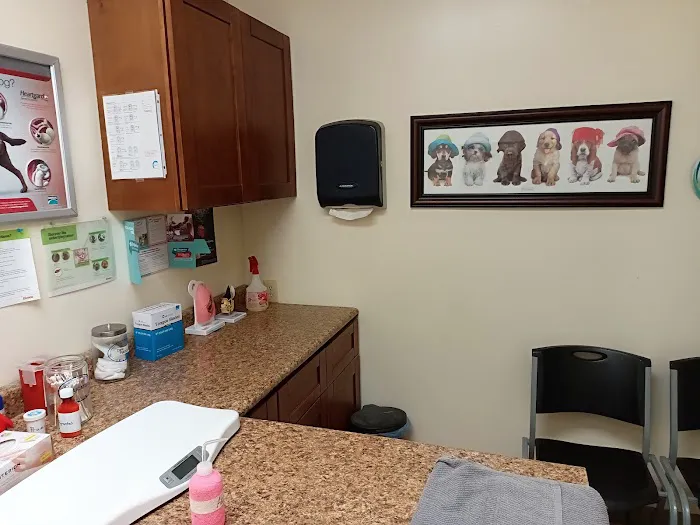 Ace Veterinary Clinic 12