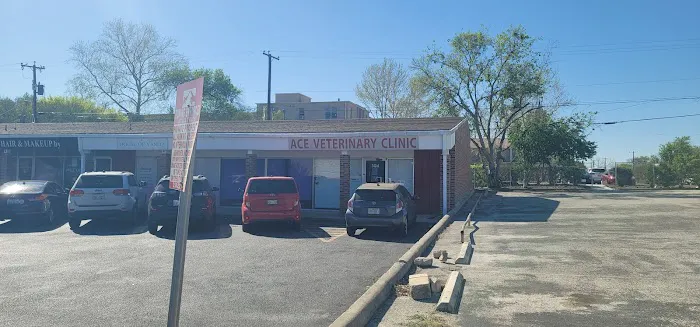 Ace Veterinary Clinic 12