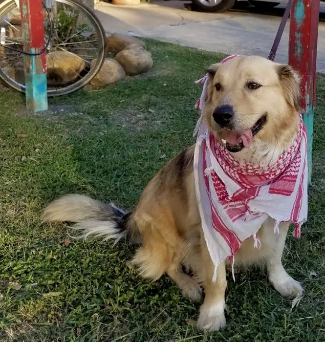 Eagle Veterinary Hospital 8