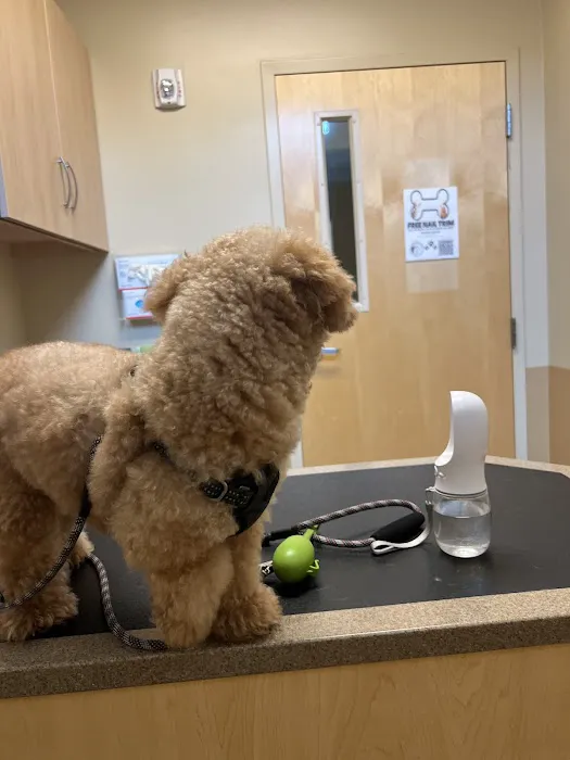 Eagle Veterinary Hospital 9