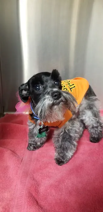 Olmos Park Animal Hospital 12