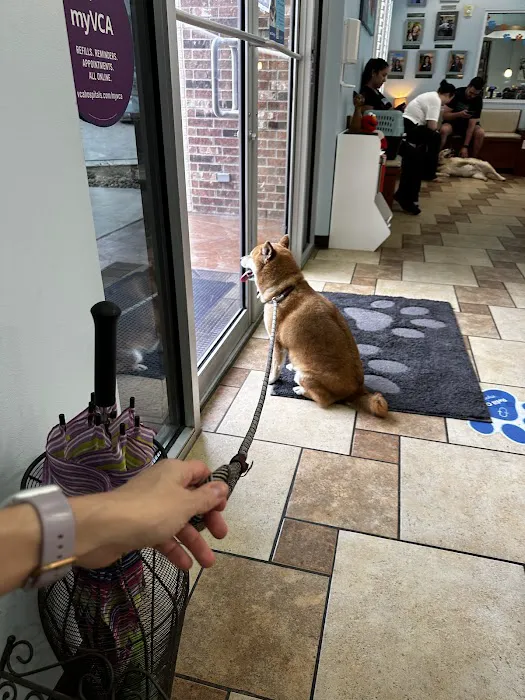 VCA Oak Hills Animal Hospital 9
