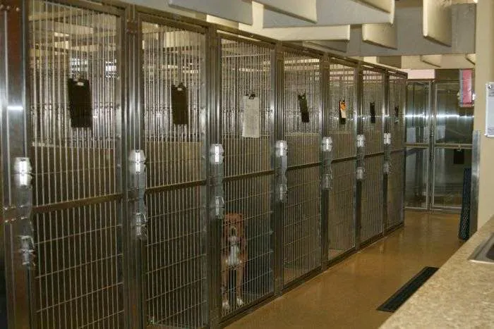 VCA Oak Hills Animal Hospital 7