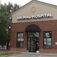 Old Peachtree Animal Clinic: Low Cost Veterinary Medical Center of Gwinnett ico