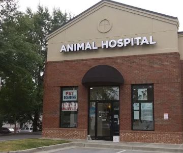 Old Peachtree Animal Clinic: Low Cost Veterinary Medical Center of Gwinnett