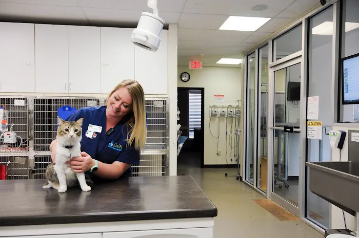 Russell Ridge Animal Hospital 1