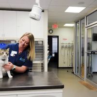 Russell Ridge Animal Hospital ico