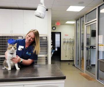 Russell Ridge Animal Hospital
