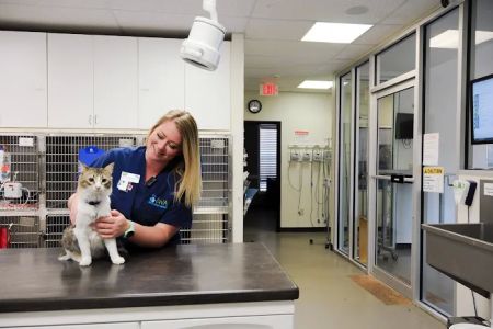 Russell Ridge Animal Hospital