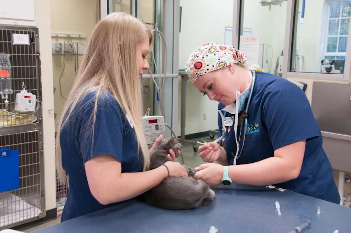 Russell Ridge Animal Hospital 2