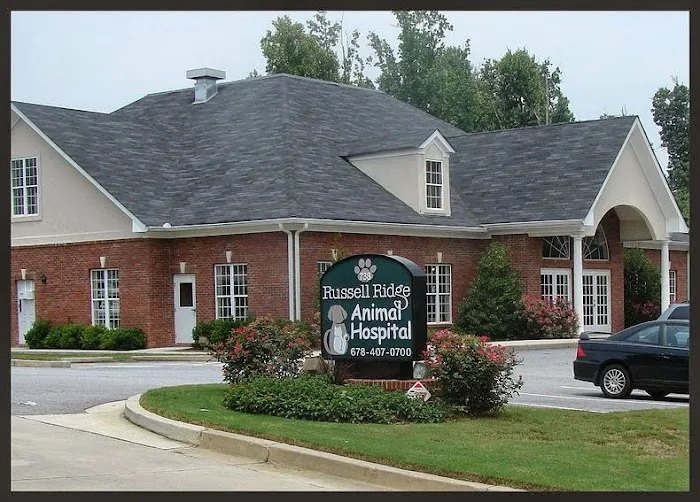 Russell Ridge Animal Hospital 4