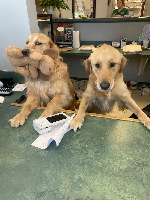 Sugar Creek Animal Hospital 3
