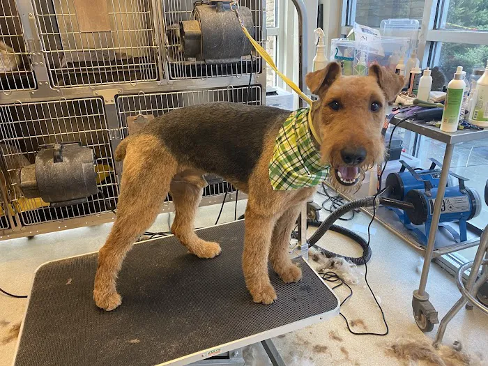 Sugar Creek Animal Hospital 5