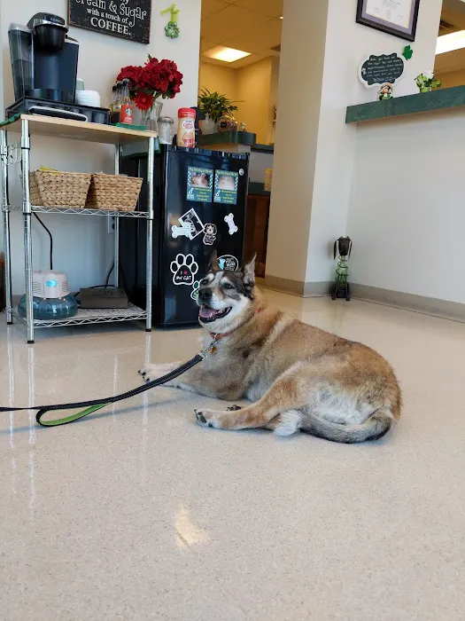 Sugar Creek Animal Hospital 2
