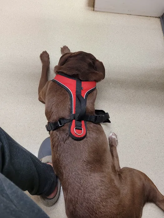 Sugar Creek Animal Hospital 9
