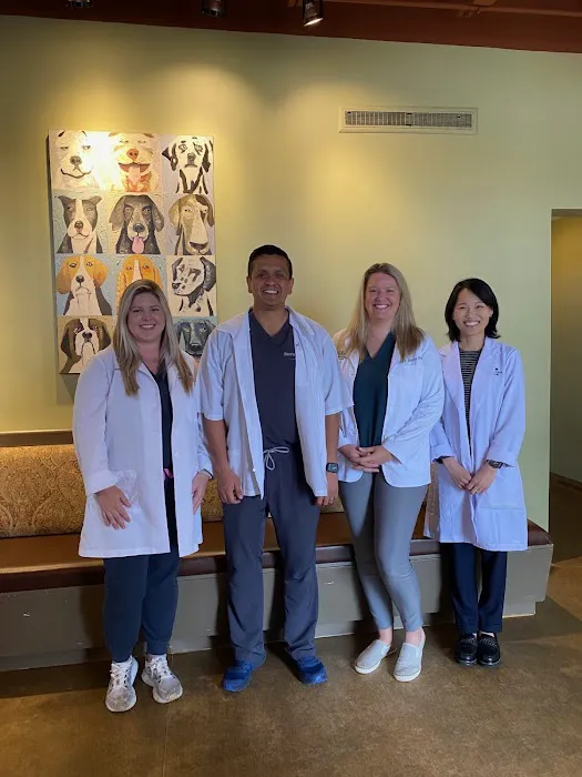 Animal Medical Center of Lawrenceville, A Thrive Pet Healthcare Partner 12