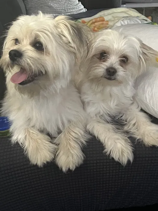 Banfield Pet Hospital 12