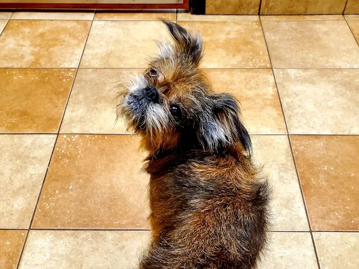 Banfield Pet Hospital 12