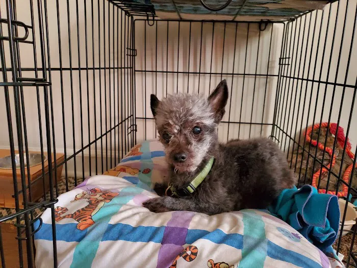 Banfield Pet Hospital 12
