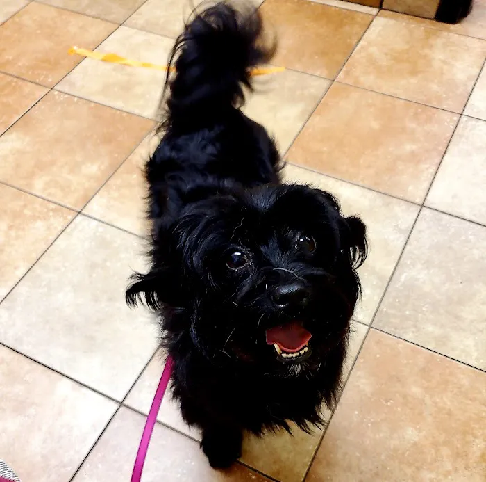 Banfield Pet Hospital 12