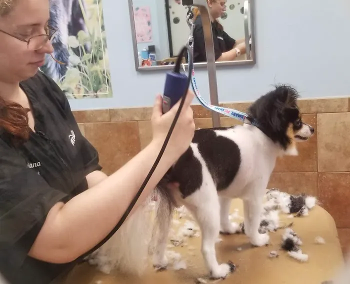 Banfield Pet Hospital 12