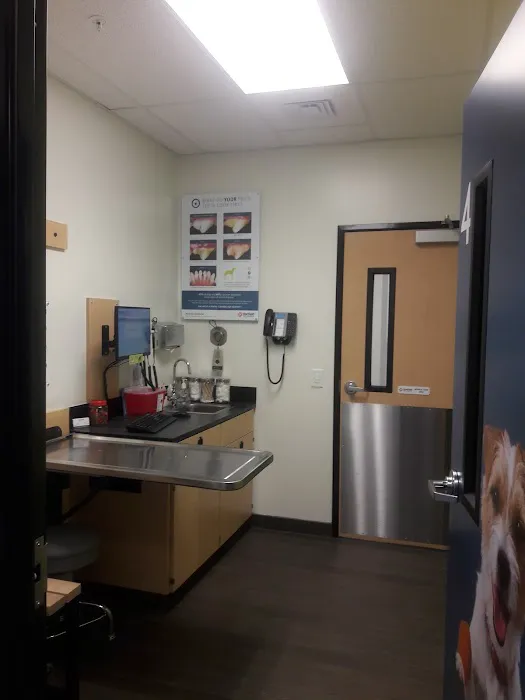 Banfield Pet Hospital 5