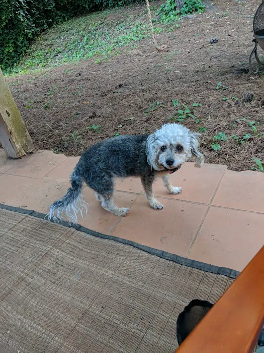 Banfield Pet Hospital 7