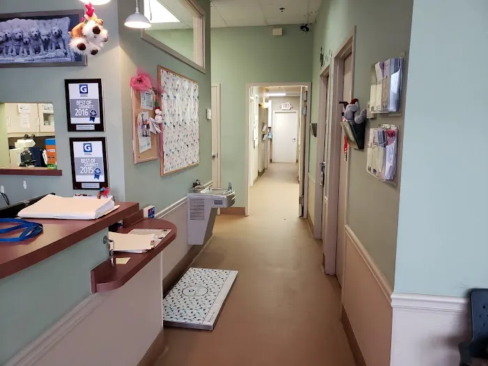 Crossroads Animal Clinic Inc 12
