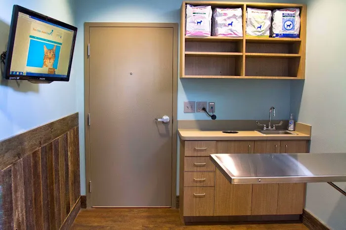 Town Center Animal Clinic 3