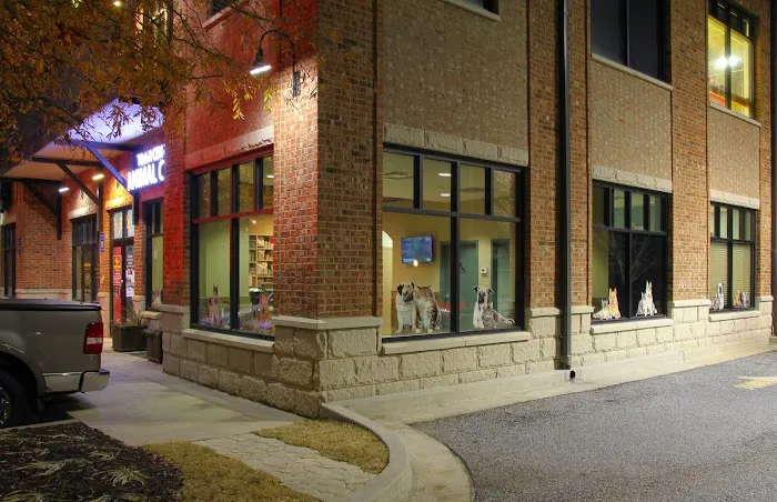 Town Center Animal Clinic 1