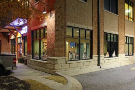 Town Center Animal Clinic
