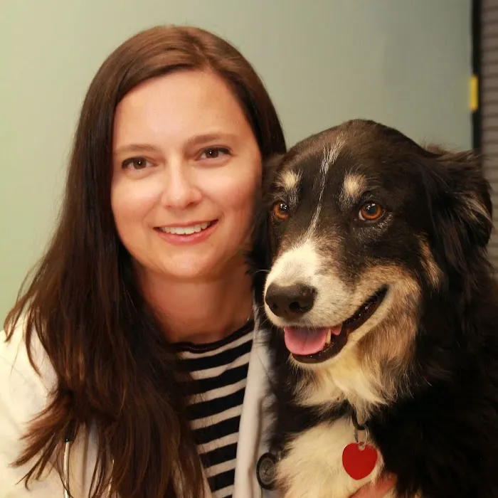Town Center Animal Clinic 5